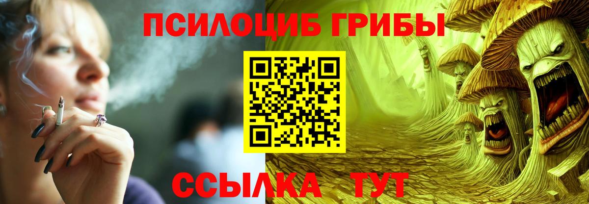 Вязьма  Псилоцибиновые грибы Cubensis  хочу   Вход с VPN  Галлюциногенные грибы MAGIC MUSHROOMS 