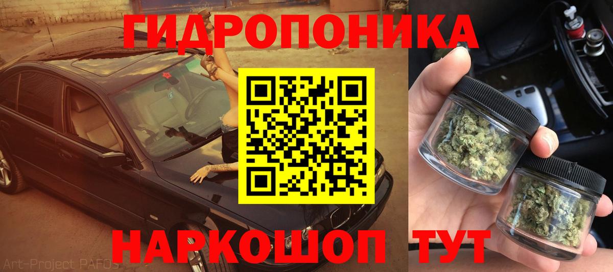 Марихуана гибрид  Конопля марихуана  Бошки марихуана планчик  Вход с VPN  Вязьма 